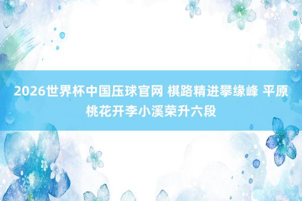 2026世界杯中国压球官网 棋路精进攀缘峰 平原桃花开李小溪荣升六段