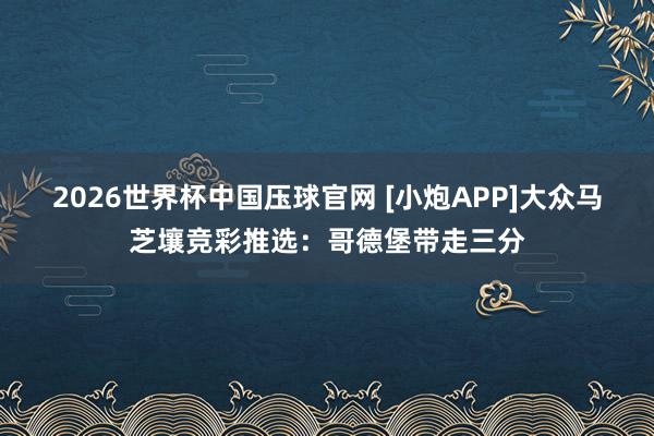 2026世界杯中国压球官网 [小炮APP]大众马芝壤竞彩推选：哥德堡带走三分