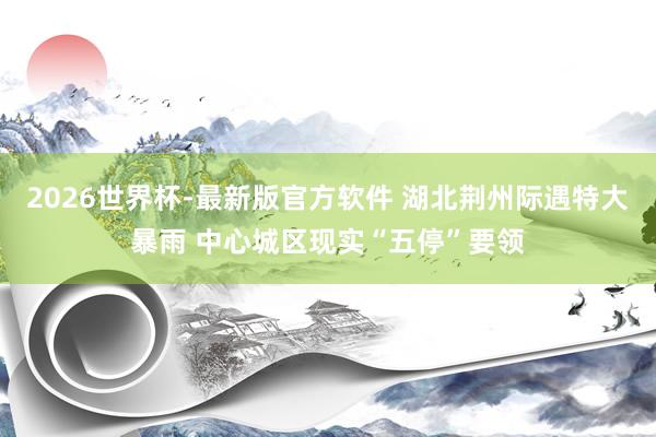 2026世界杯-最新版官方软件 湖北荆州际遇特大暴雨 中心城区现实“五停”要领