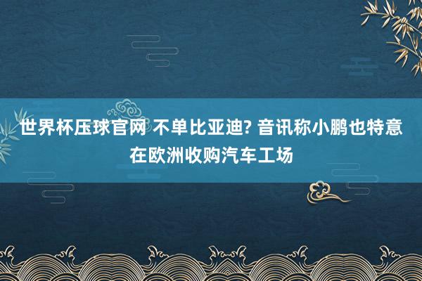 世界杯压球官网 不单比亚迪? 音讯称小鹏也特意在欧洲收购汽车工场