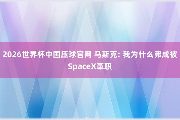 2026世界杯中国压球官网 马斯克: 我为什么弗成被SpaceX革职