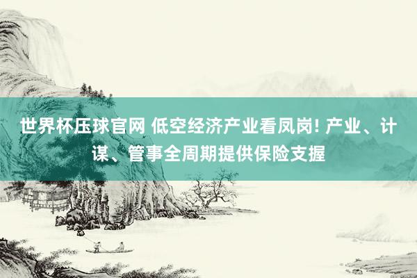 世界杯压球官网 低空经济产业看凤岗! 产业、计谋、管事全周期提供保险支握