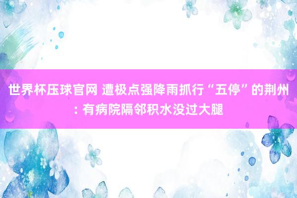 世界杯压球官网 遭极点强降雨抓行“五停”的荆州: 有病院隔邻积水没过大腿