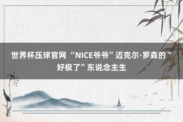 世界杯压球官网 “NICE爷爷”迈克尔·罗森的“好极了”东说念主生