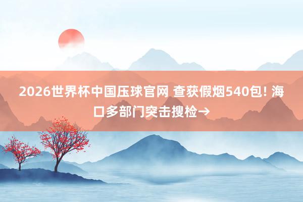 2026世界杯中国压球官网 查获假烟540包! 海口多部门突击搜检→