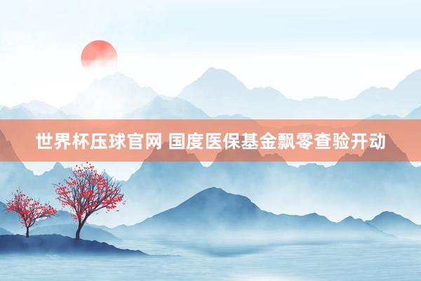 世界杯压球官网 国度医保基金飘零查验开动