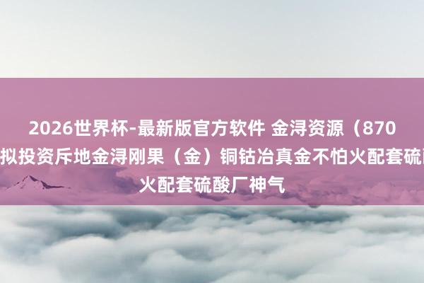2026世界杯-最新版官方软件 金浔资源(870844):拟投资斥地金浔刚果(金)铜钴冶真金不怕火配套硫酸厂神气