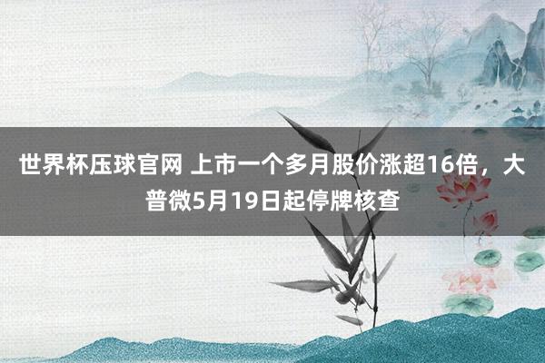 世界杯压球官网 上市一个多月股价涨超16倍,大普微5月19日起停牌核查