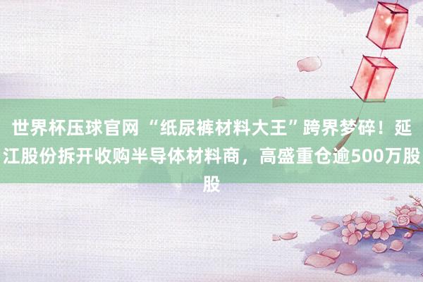 世界杯压球官网 “纸尿裤材料大王”跨界梦碎!延江股份拆开收购半导体材料商,高盛重仓逾500万股
