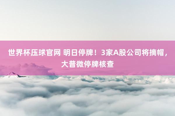 世界杯压球官网 明日停牌!3家A股公司将摘帽,大普微停牌核查