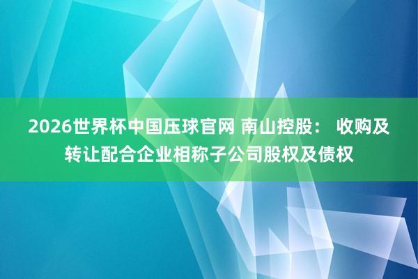 2026世界杯中国压球官网 南山控股： 收购及转让配合企业相称子公司股权及债权