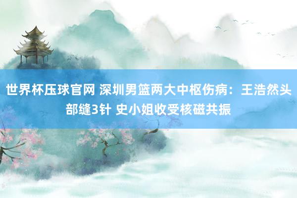 世界杯压球官网 深圳男篮两大中枢伤病:王浩然头部缝3针 史小姐收受核磁共振