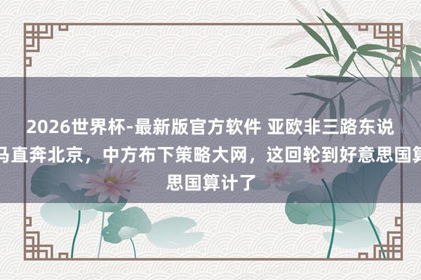 2026世界杯-最新版官方软件 亚欧非三路东说念主马直奔北京,中方布下策略大网,这回轮到好意思国算计了