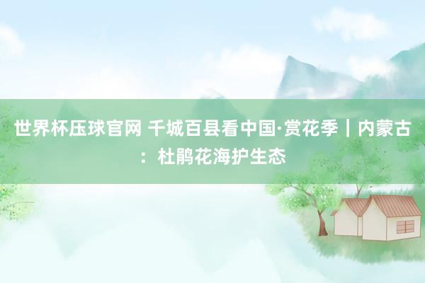 世界杯压球官网 千城百县看中国·赏花季|内蒙古:杜鹃花海护生态