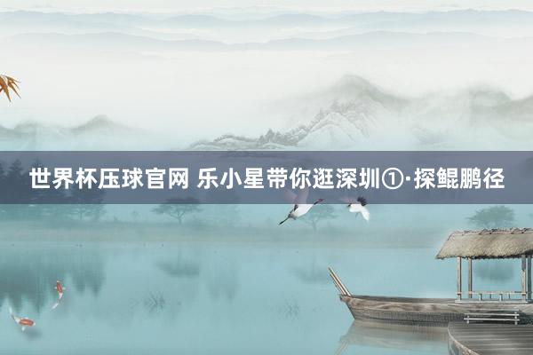 世界杯压球官网 乐小星带你逛深圳①·探鲲鹏径