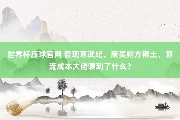 世界杯压球官网 套现寒武纪,豪买朔方稀土,顶流成本大佬嗅到了什么?