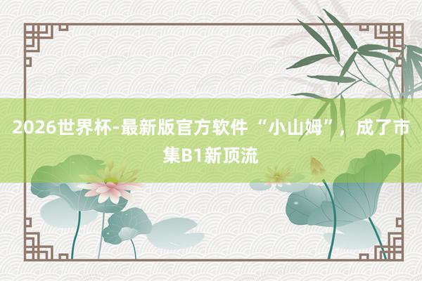2026世界杯-最新版官方软件 “小山姆”,成了市集B1新顶流