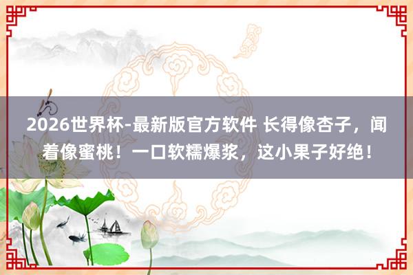2026世界杯-最新版官方软件 长得像杏子,闻着像蜜桃!一口软糯爆浆,这小果子好绝!