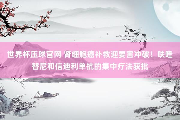 世界杯压球官网 肾细胞癌补救迎要害冲破!呋喹替尼和信迪利单抗的集中疗法获批