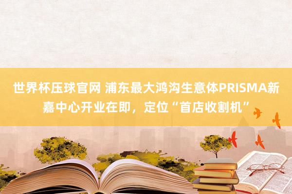 世界杯压球官网 浦东最大鸿沟生意体PRISMA新嘉中心开业在即,定位“首店收割机”