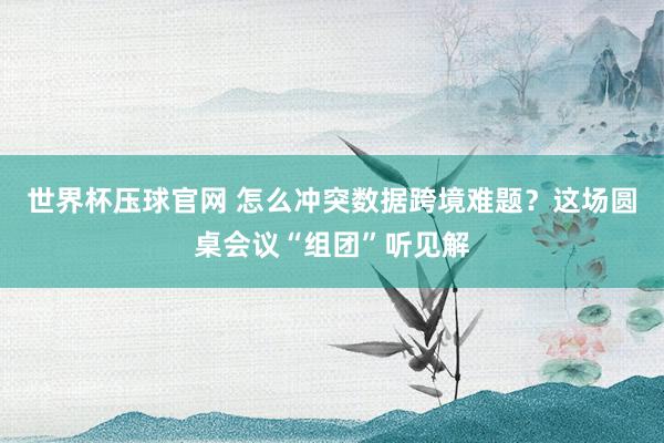世界杯压球官网 怎么冲突数据跨境难题?这场圆桌会议“组团”听见解