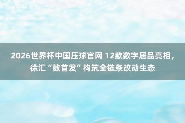 2026世界杯中国压球官网 12款数字居品亮相,徐汇“数首发”构筑全链条改动生态
