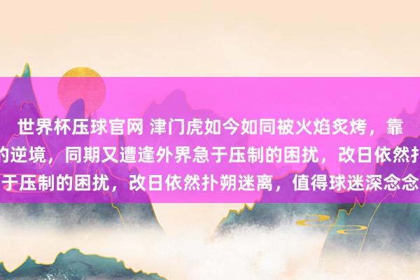 世界杯压球官网 津门虎如今如同被火焰炙烤,靠近小参加拼集保管生计的逆境,同期又遭逢外界急于压制的困扰,改日依然扑朔迷离,值得球迷深念念