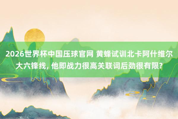 2026世界杯中国压球官网 黄蜂试训北卡阿什维尔大六锋线, 他即战力很高关联词后劲很有限?