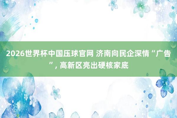 2026世界杯中国压球官网 济南向民企深情“广告”, 高新区亮出硬核家底