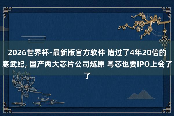2026世界杯-最新版官方软件 错过了4年20倍的寒武纪, 国产两大芯片公司燧原 粤芯也要IPO上会了