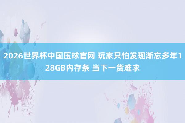 2026世界杯中国压球官网 玩家只怕发现渐忘多年128GB内存条 当下一货难求