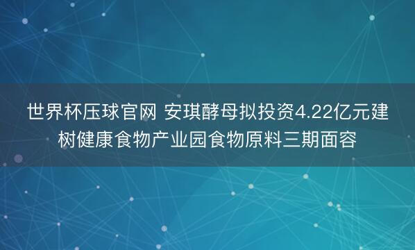 世界杯压球官网 安琪酵母拟投资4.22亿元建树健康食物产业园食物原料三期面容