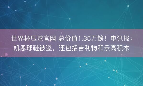 世界杯压球官网 总价值1.35万镑!电讯报:凯恩球鞋被盗,还包括吉利物和乐高积木