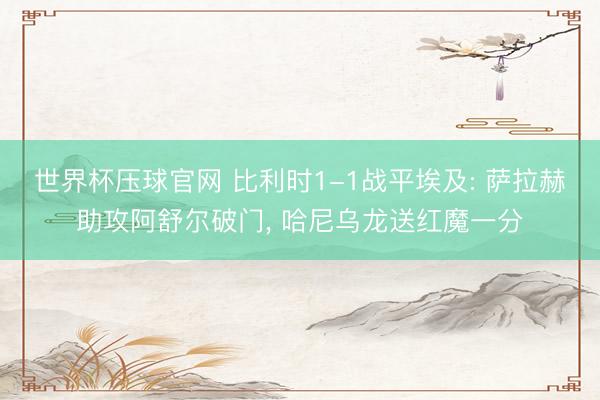 世界杯压球官网 比利时1-1战平埃及: 萨拉赫助攻阿舒尔破门, 哈尼乌龙送红魔一分