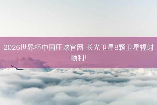2026世界杯中国压球官网 长光卫星8颗卫星辐射顺利!