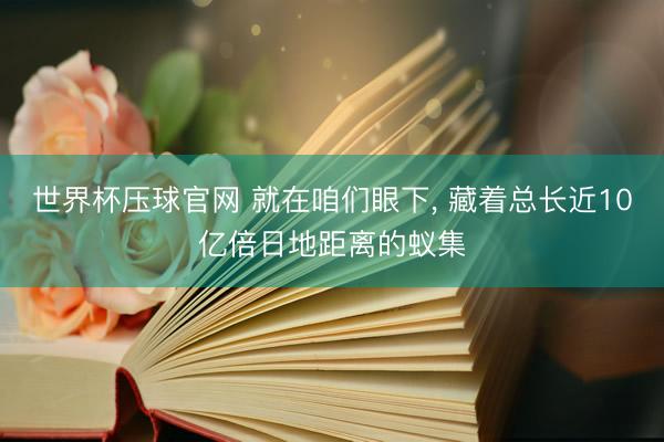 世界杯压球官网 就在咱们眼下, 藏着总长近10亿倍日地距离的蚁集